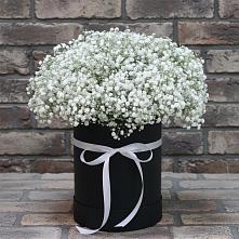 Цветочная композиция из Гипсофила в шляпной коробке #REPLACE_PRED# Электрогорске